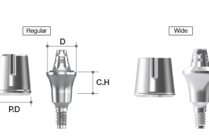 MEGAGEN AR Abutment Option Regular ø5.2