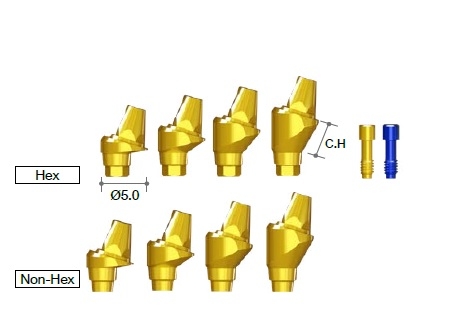 MEGAGEN AR Multi-unit angled abutment (17°)