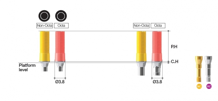 MEGAGEN BD CCM Abutment