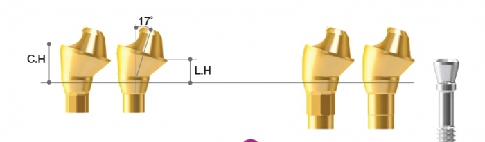 MEGAGEN BD 17˚ Multi-unit Angled Abutment