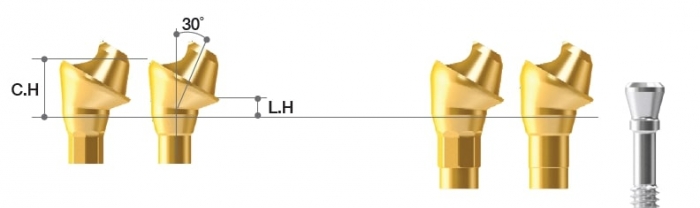 MEGAGEN BD 30˚ BD Multi-unit Angled Abutment